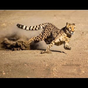 Meet your Posher, Jason